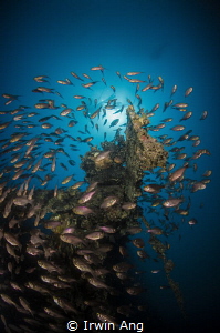 S O N I C - W A V E S 
Perhentian Island (KT), Malaysia.... by Irwin Ang 
